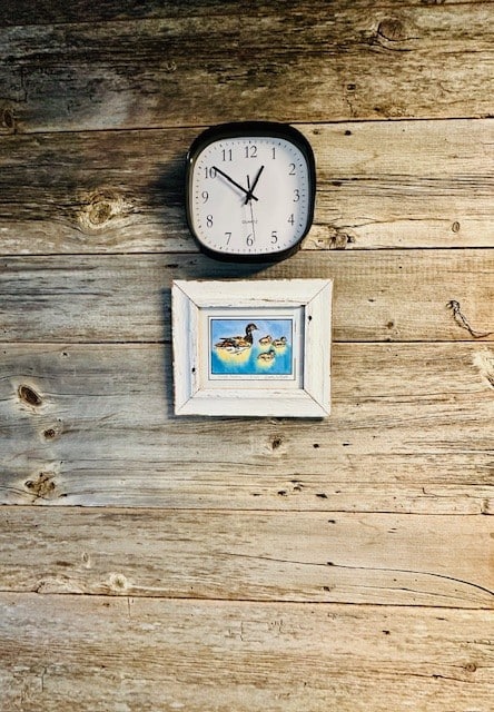 river-queen-RQC 2 river-queen-RQC 2